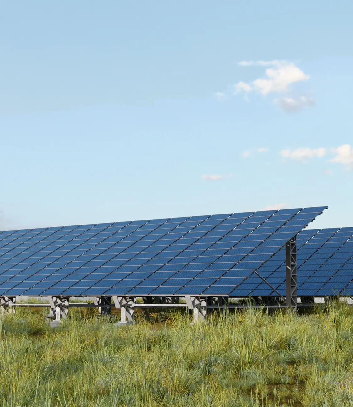 Background illustration