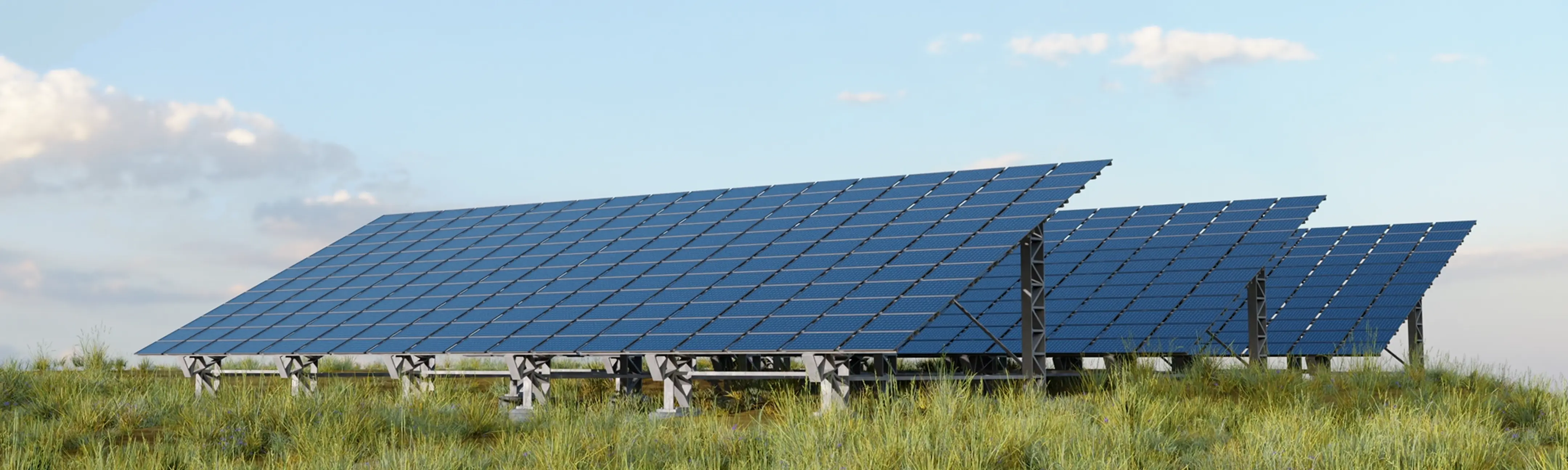 Background illustration