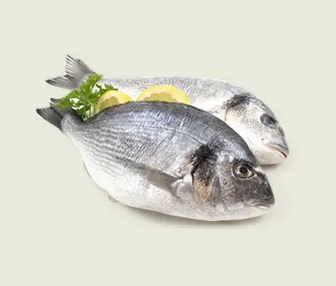 Риба, продукти із риби